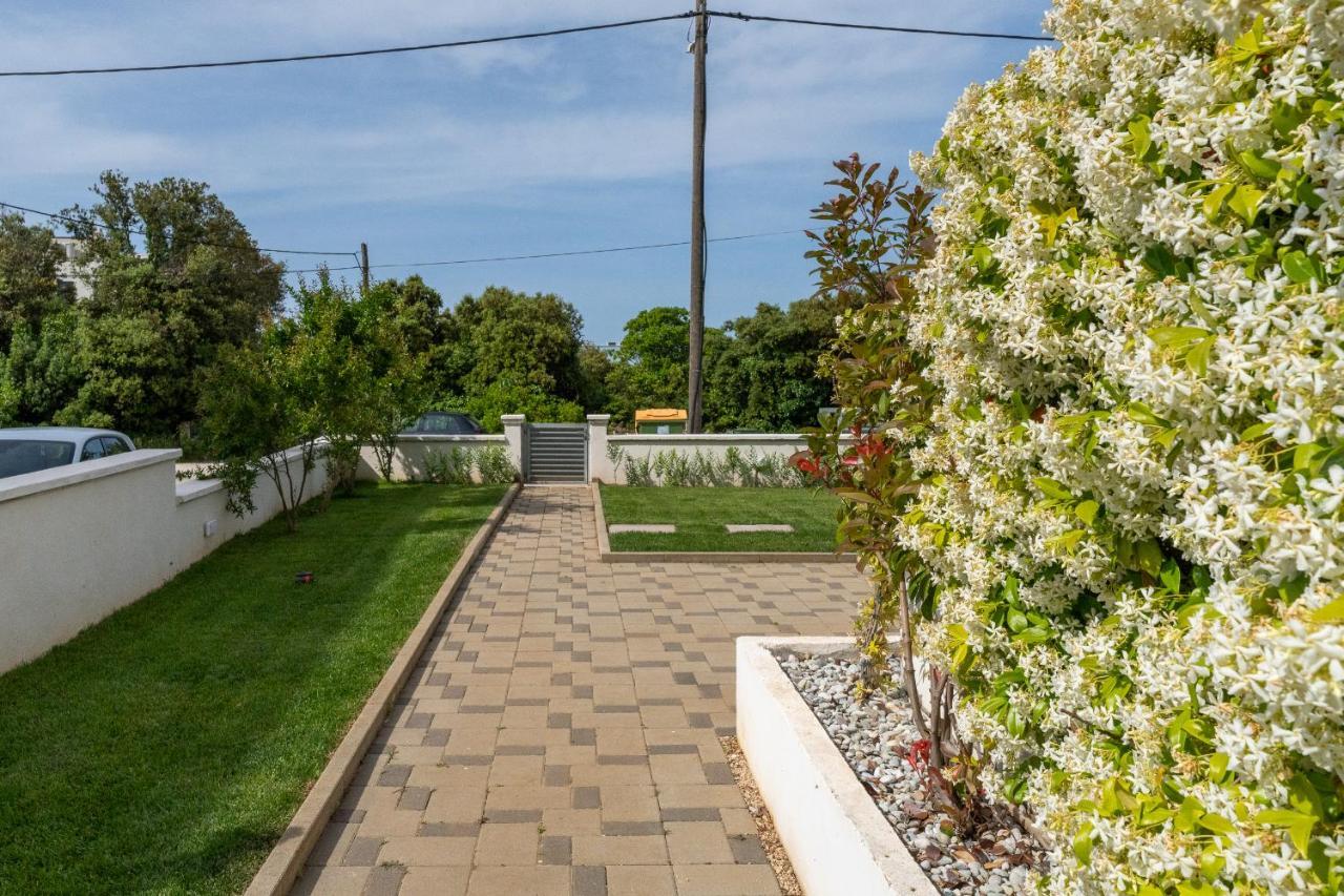 Villa Mirela Петрчане Экстерьер фото