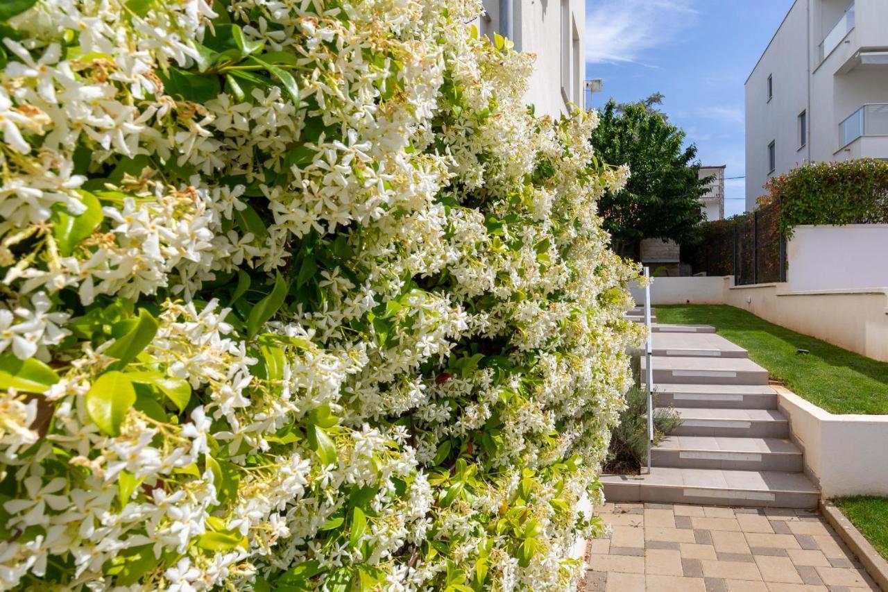 Villa Mirela Петрчане Экстерьер фото